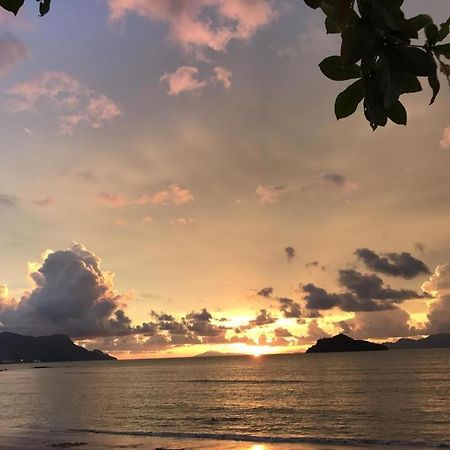 ลาบู ลาบี เรสซิเดนซ์ Hotel Langkawi ภายนอก รูปภาพ